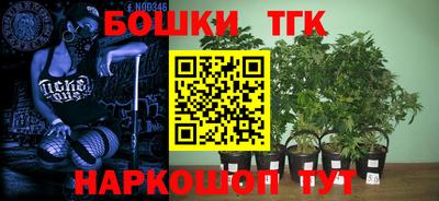 эйфоретик Кандалакша