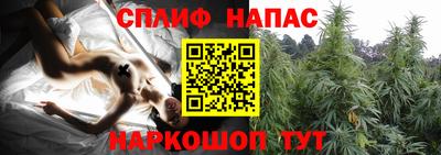 винт Канаш