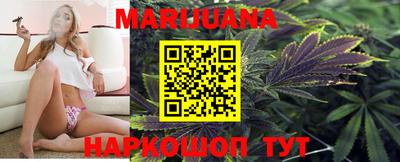 Альфа ПВП Камышлов